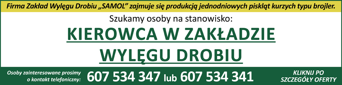 Reklama lokalna