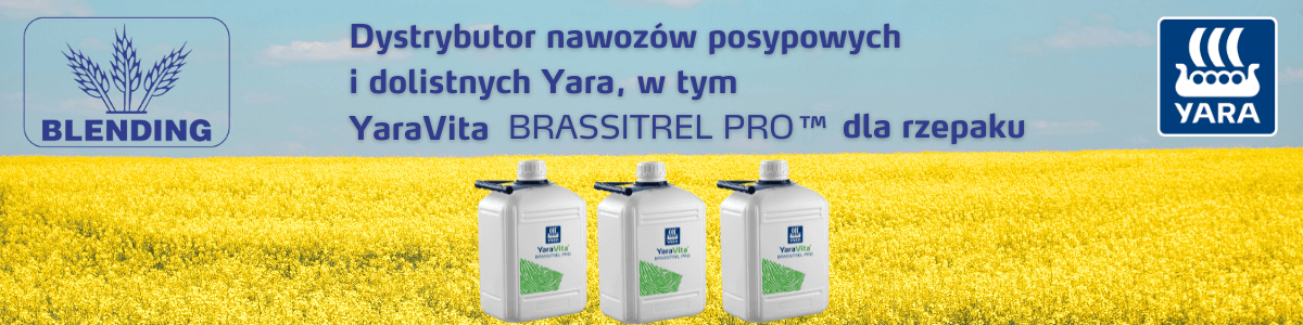 Reklama lokalna