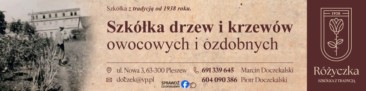 Reklama lokalna