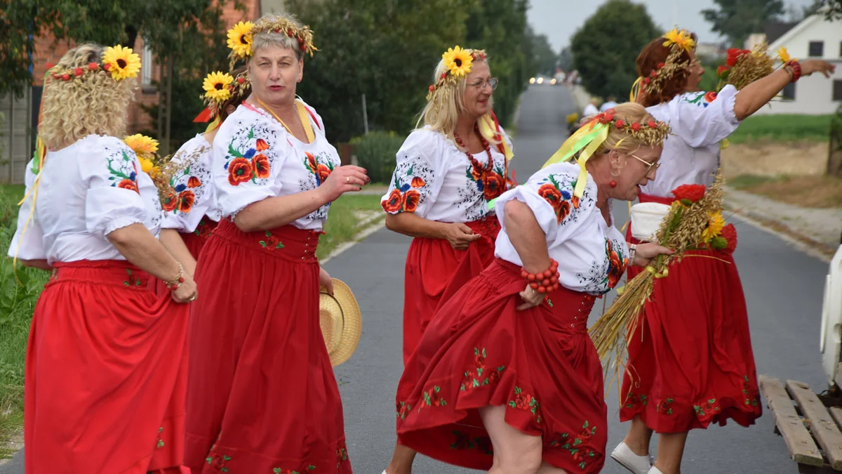  Było głośno i radośnie. Szalona zabawa na dożynkach w Brzeziu pod Gostyniem - Zdjęcie główne