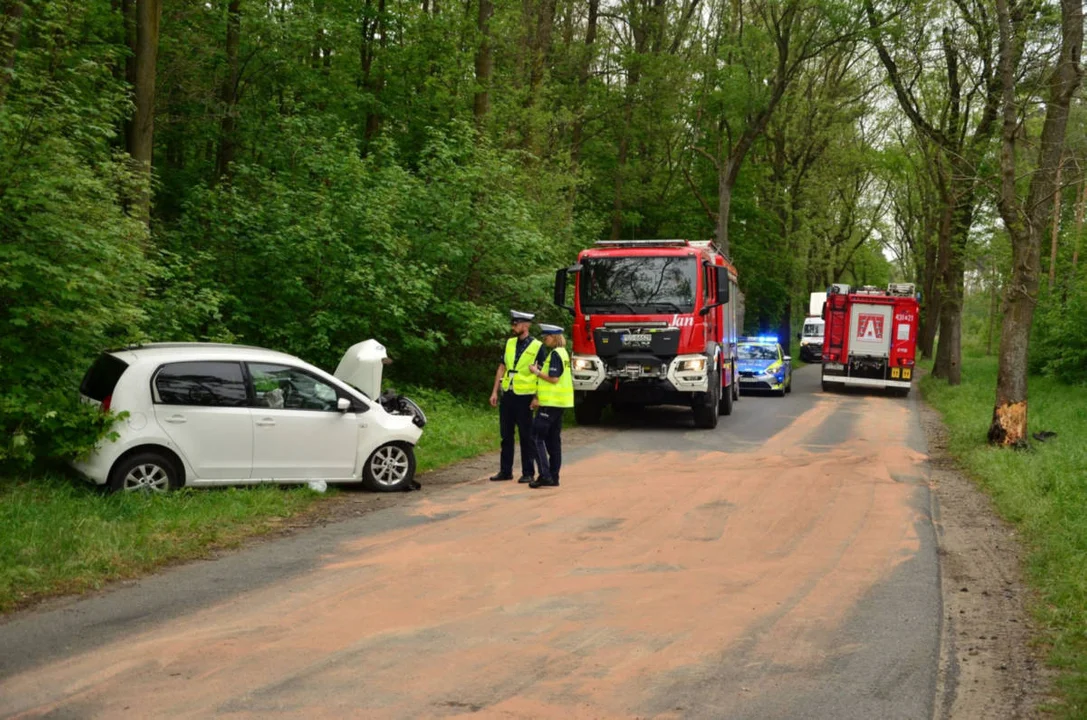 Samochód osobowy uderzył w drzewo w Siedmiorogowie Pierwszym (gm. Borek Wlkp.)