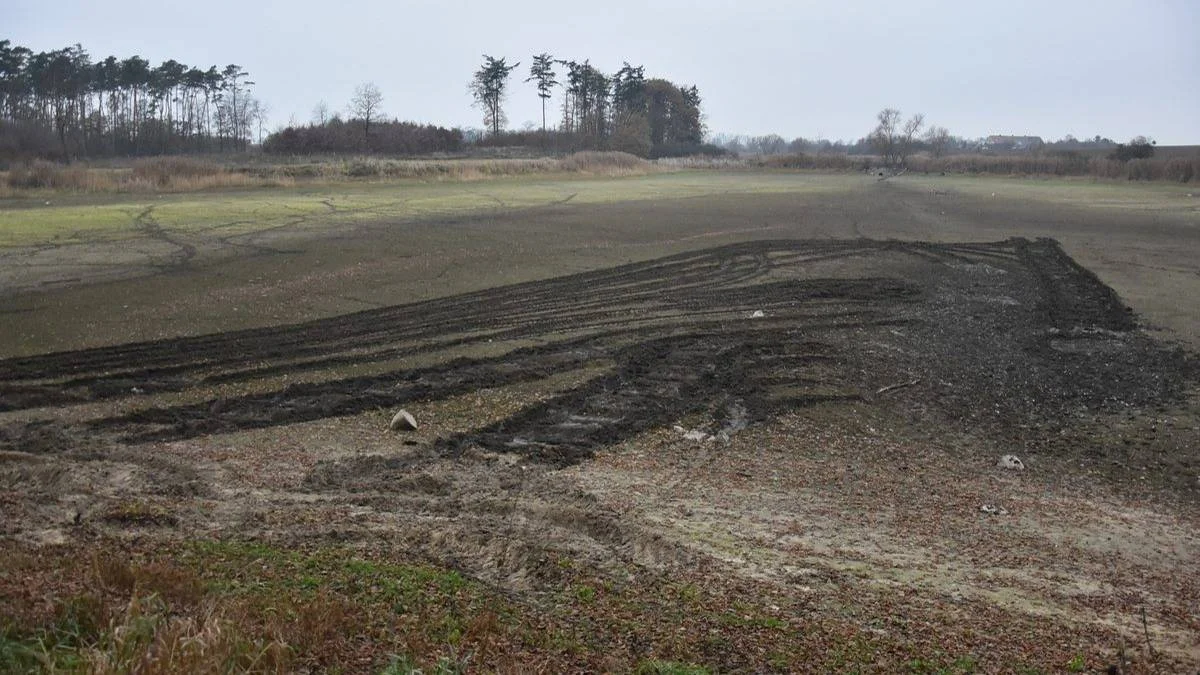 Właściciel terenu firma Top Farms usunął martwe ryby ze stawu w Żytowiecku. Co wykazała kontrola WIOŚ? - Zdjęcie główne
