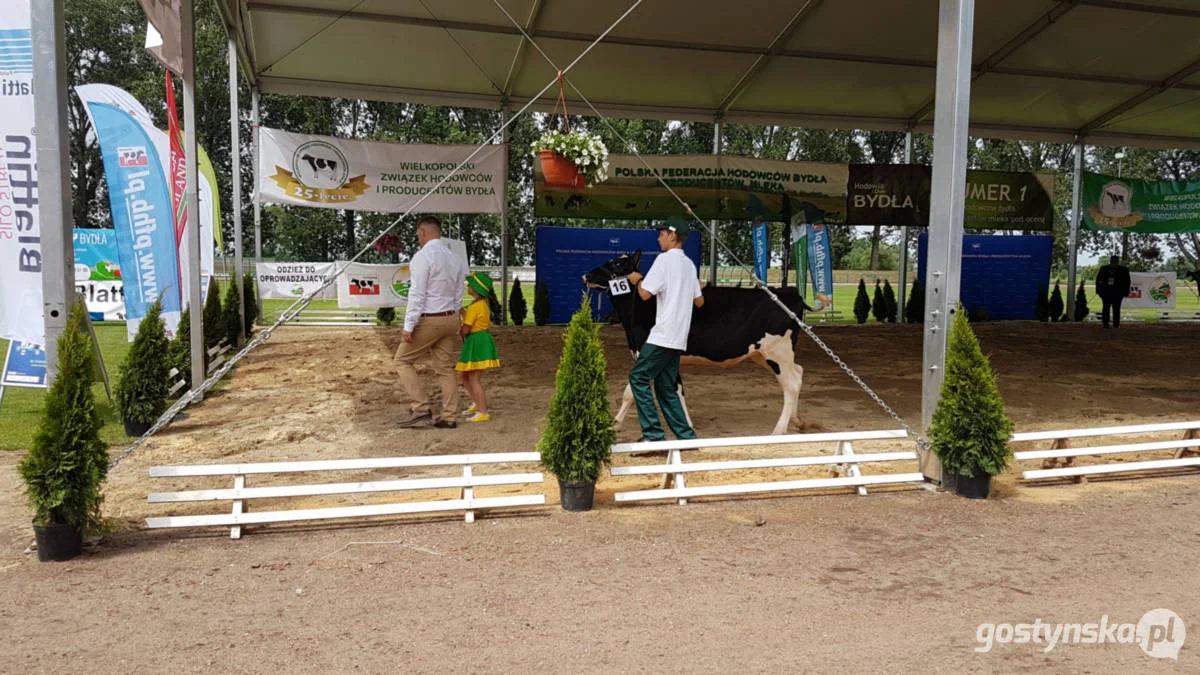 Jubileuszowa, bo XV Regionalna Wystawa Zwierząt Hodowlanych w Pudliszkach