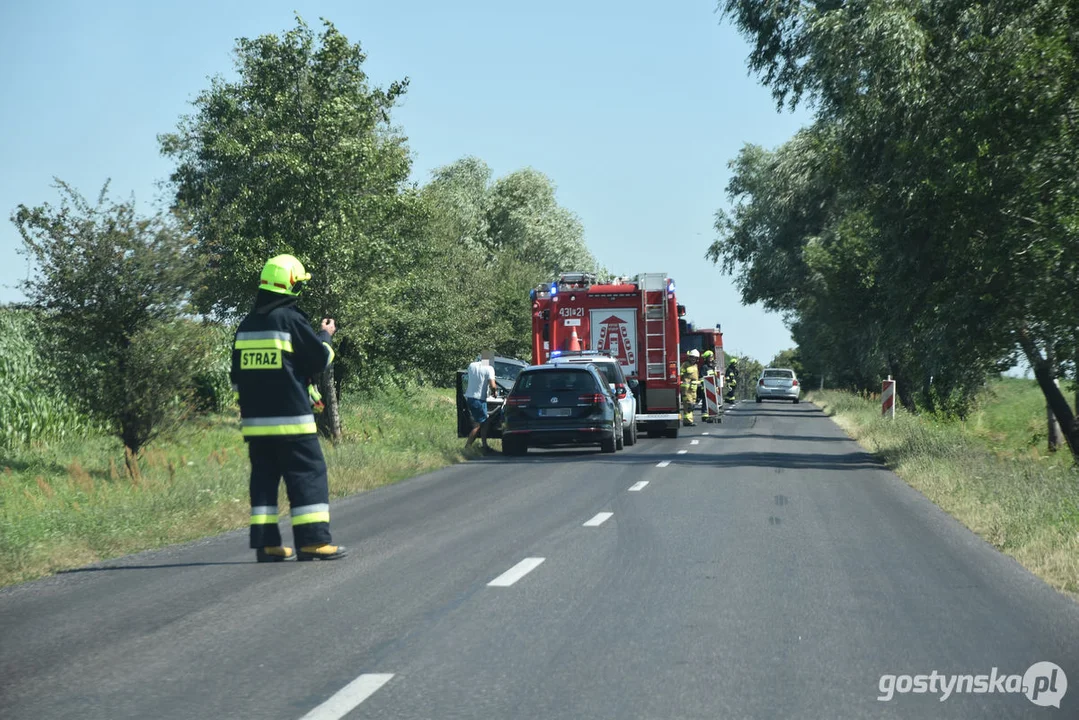 Wypadek drogowy w gminie Piaski (Szelejewo)