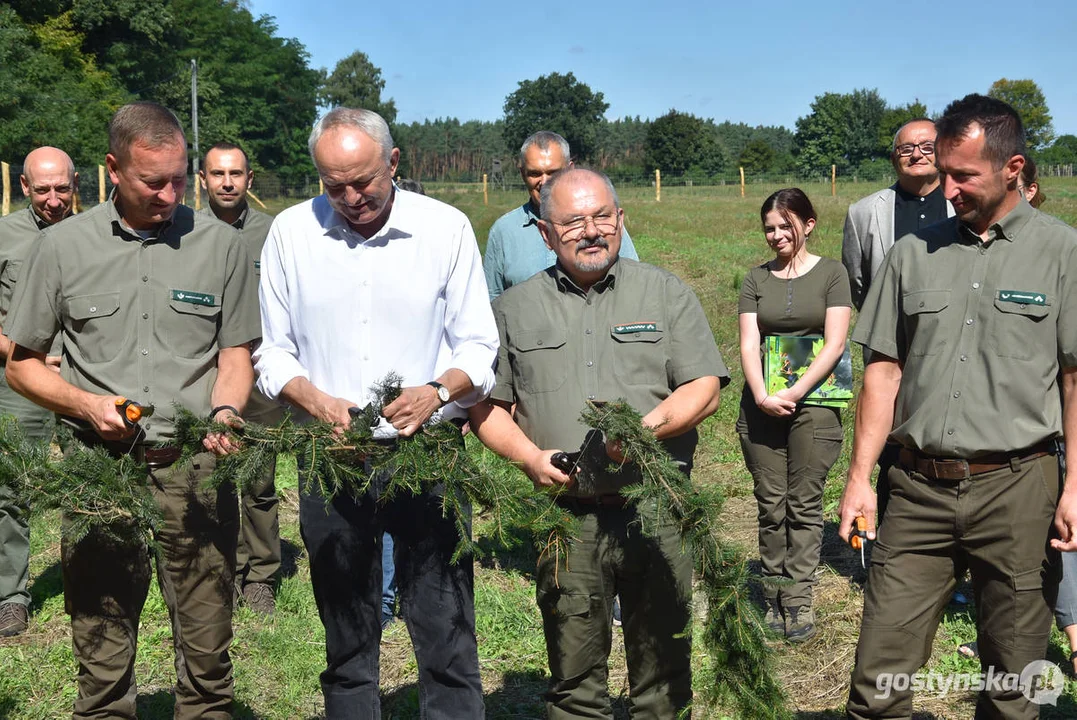 W Nadleśnictwie Piaski powstaje "Las dobry wspomnień"