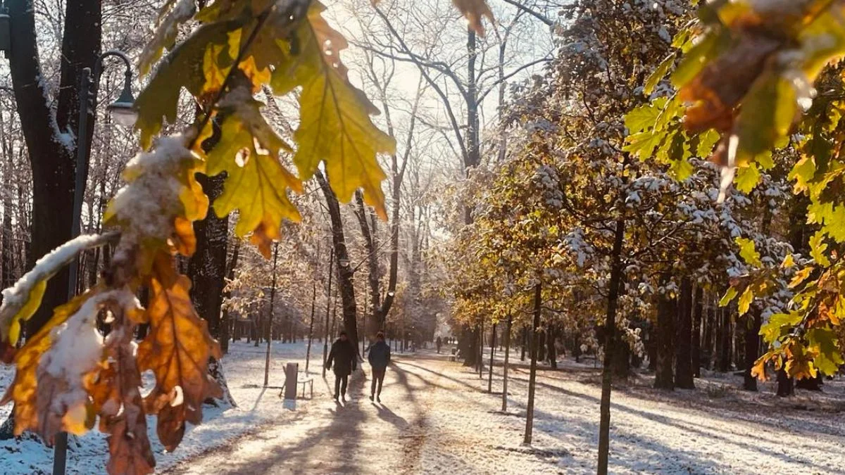 Jesienno-zimowa odsłona parku w Jarocinie