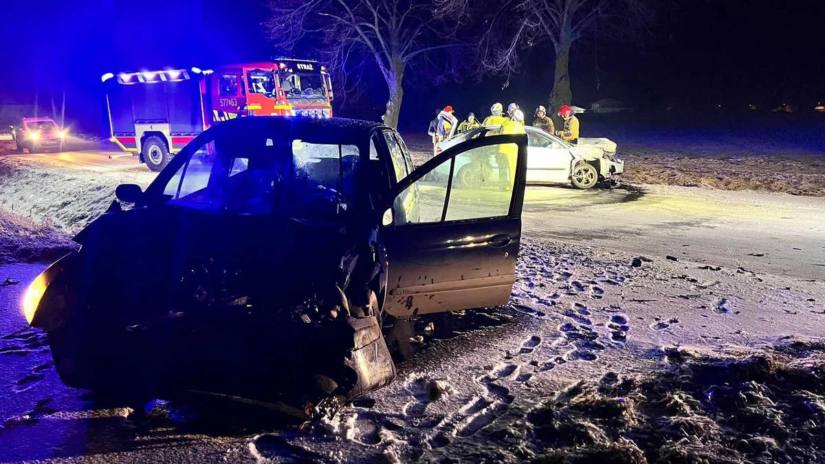 Wypadek na drodze Chojno - Słupia Kapitulna. Jedna osoba poszkodowana [ZDJĘCIA] - Zdjęcie główne