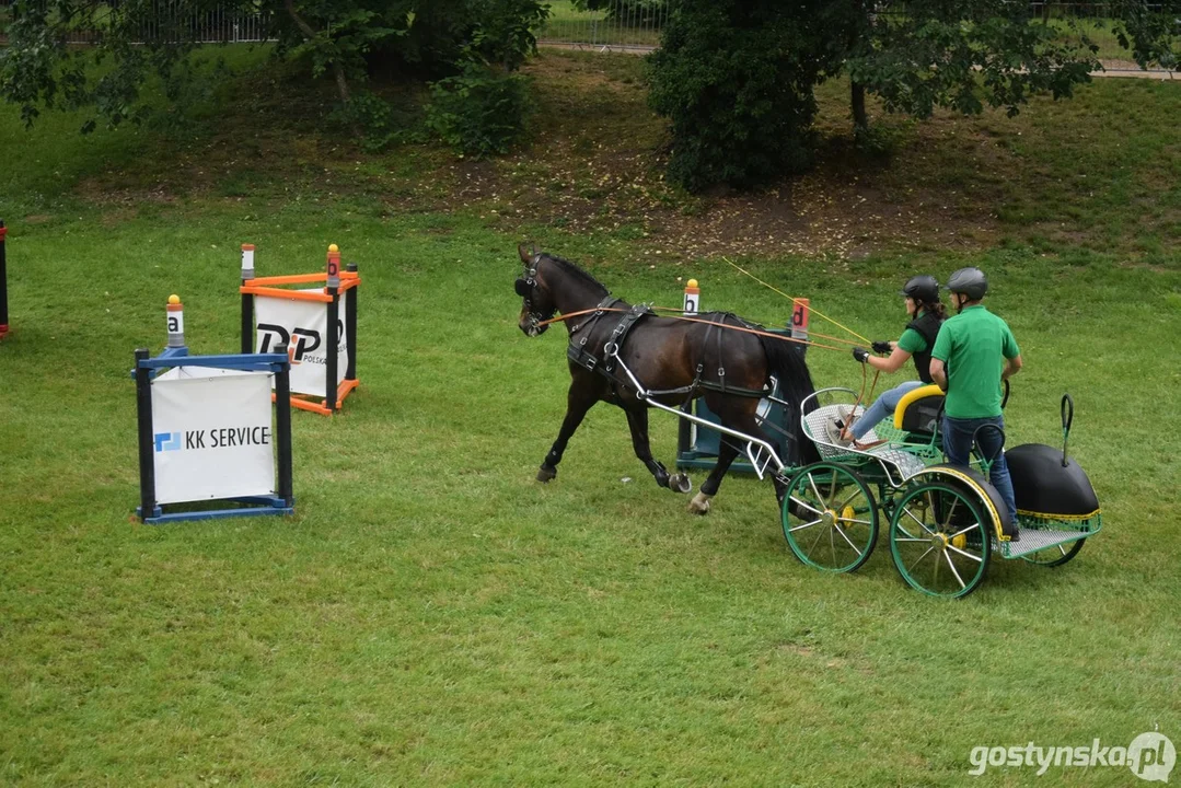 Rokosowo Horse Show 2024 - dzień pierwszy