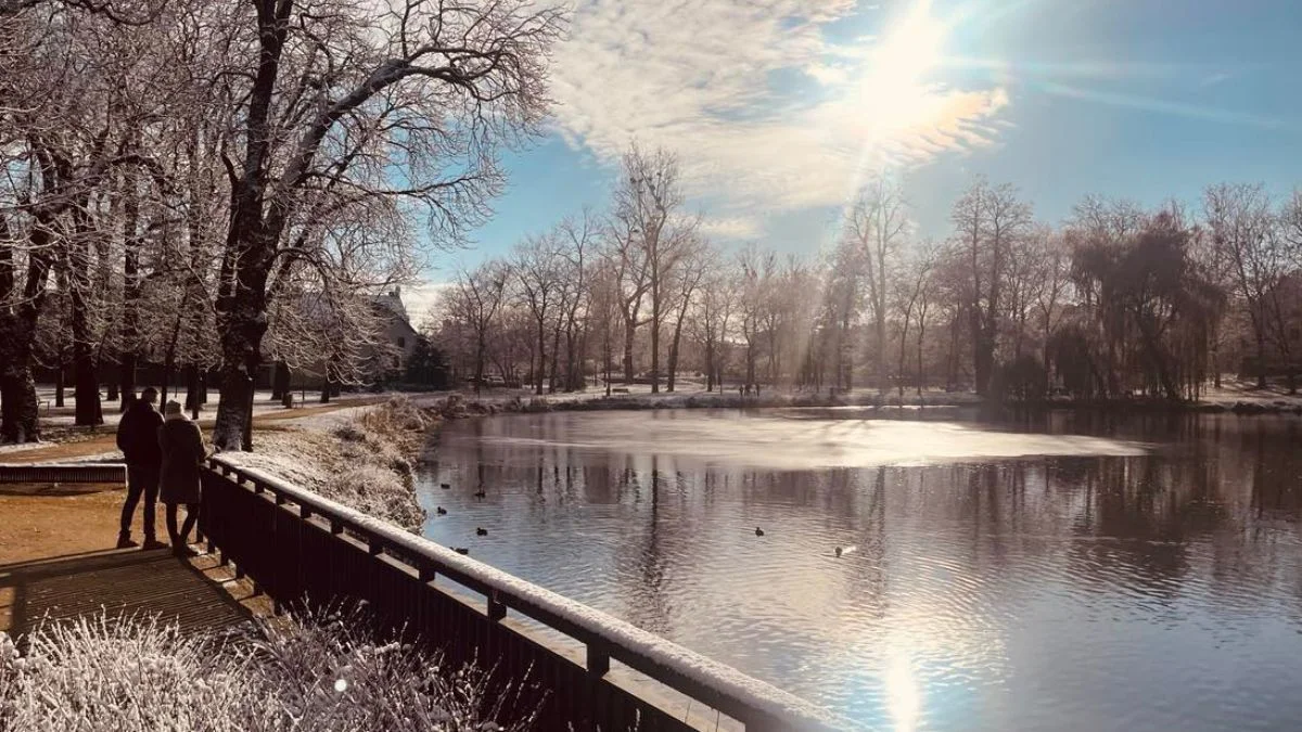 Park Radolińskich w Jarocinie w zimowej aurze