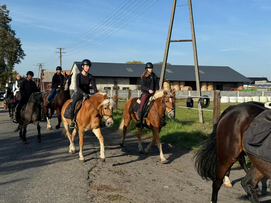 Drugi Hazacki Hubertus z dużą frekwencją i wspaniałą pogodą. Przygotowano wiele atrakcji [ZDJĘCIA] - Zdjęcie główne