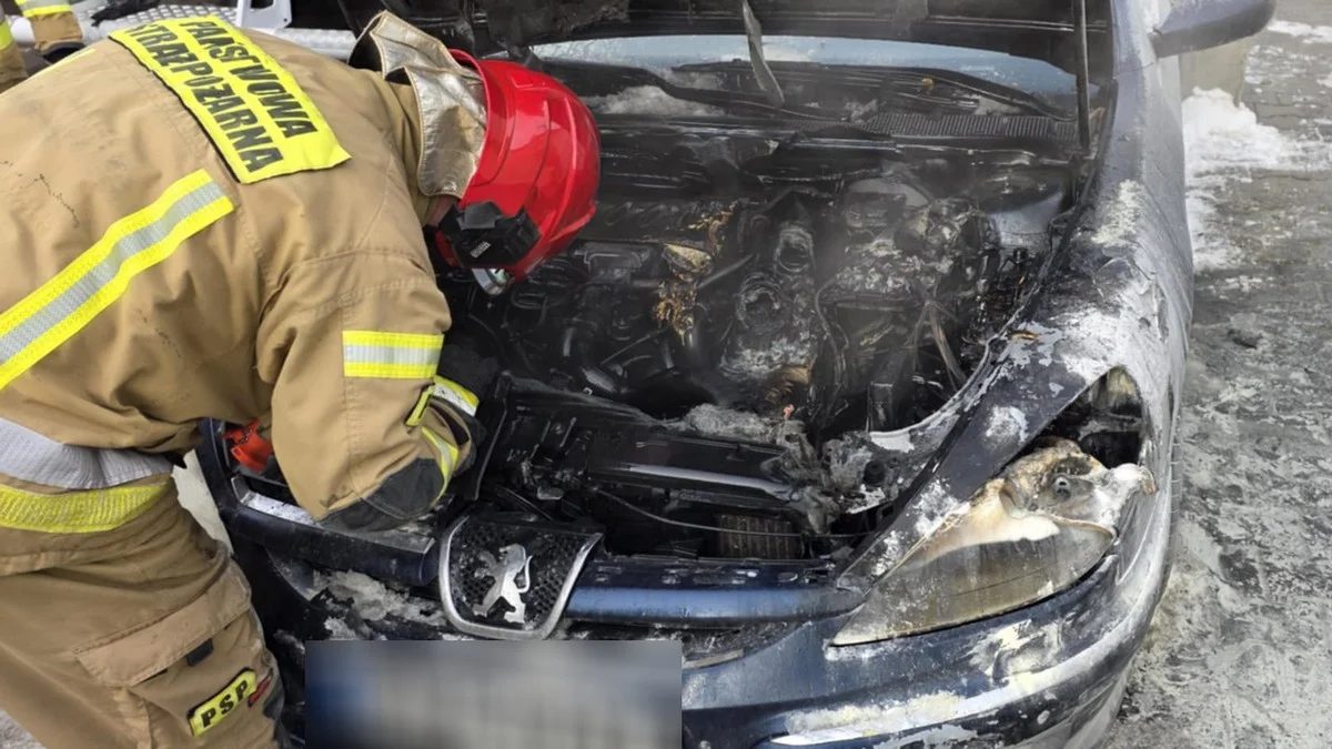 Pożar auta w Miejskiej Górce. Interweniowali strażacy - Zdjęcie główne