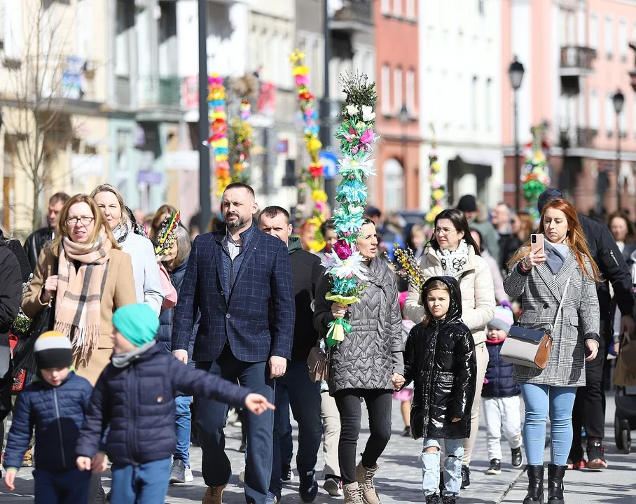 Najdłuższe palmy miały ponad 3 metry