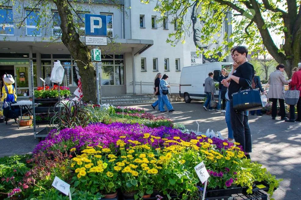 Podziwiali, wybierali i słuchali cennych rad - w Jarocinie odbył się kiermasz ogrodniczy. Jak było - zobaczcie ZDJĘCIA