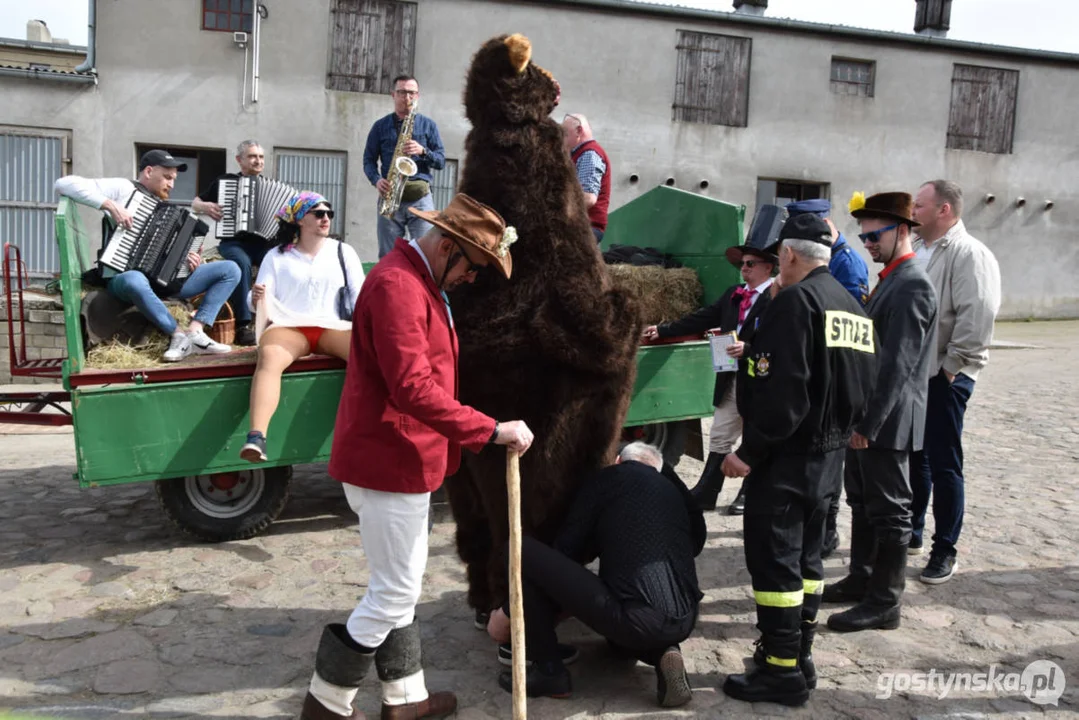 "Niedźwiedzie" wróciły do Zalesia - wesoły śmigus-dyngus