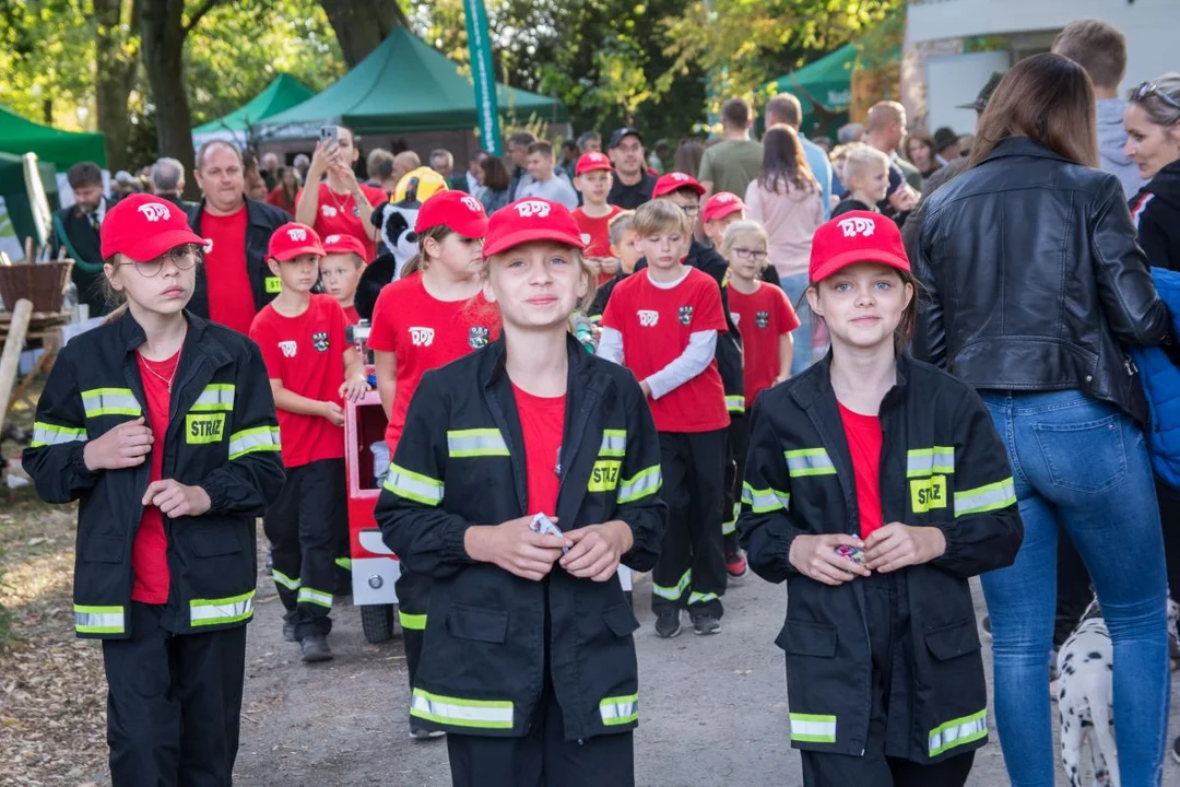 Festiwal Kultury Łowieckiej w 2022 roku odbędzie się w Jarocinie, zamiast w Tarcach