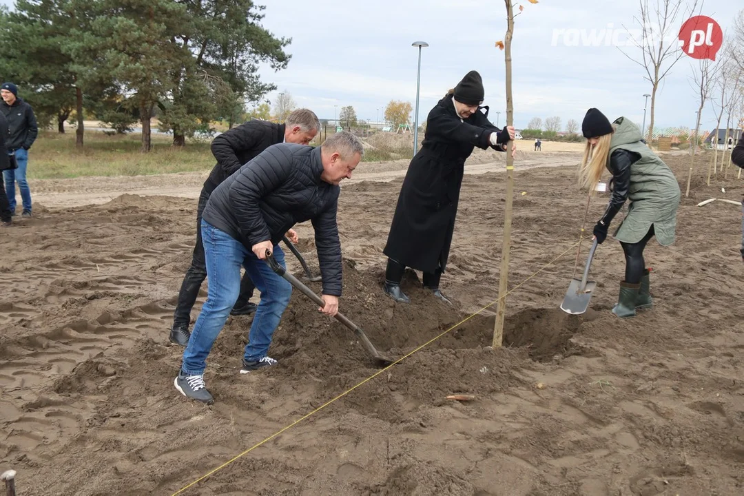 Nowe nasadzenia na poligonie