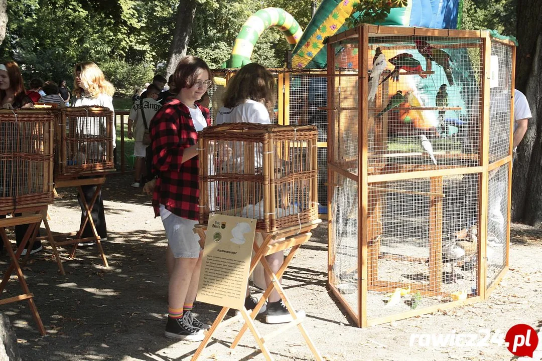 Witaj Szkoło! Bezpieczna Pyrka na Wesoło