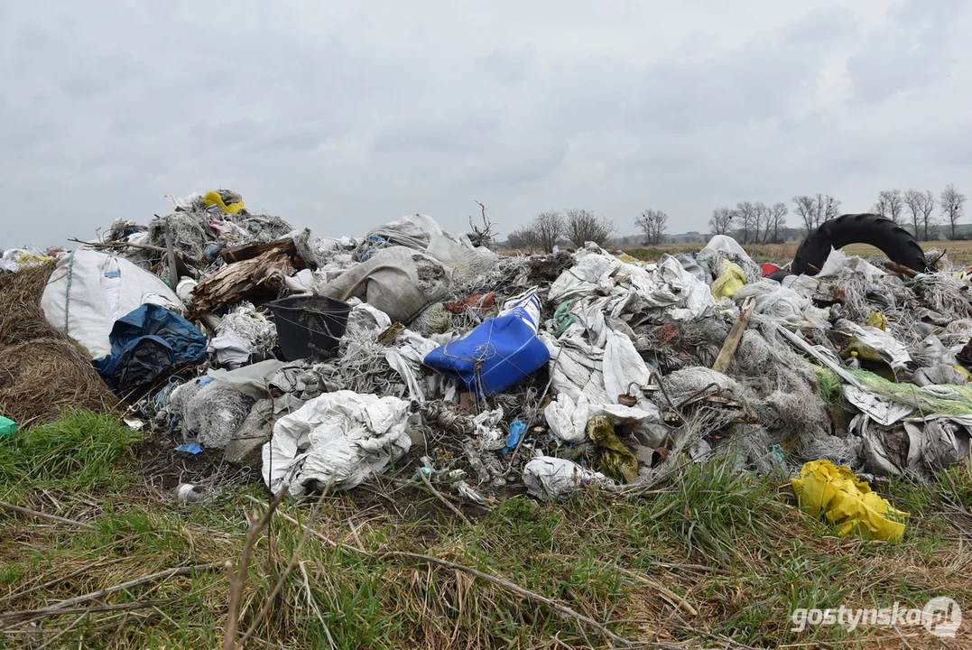 Ogromna hałda śmieci na polu w Żytowiecku