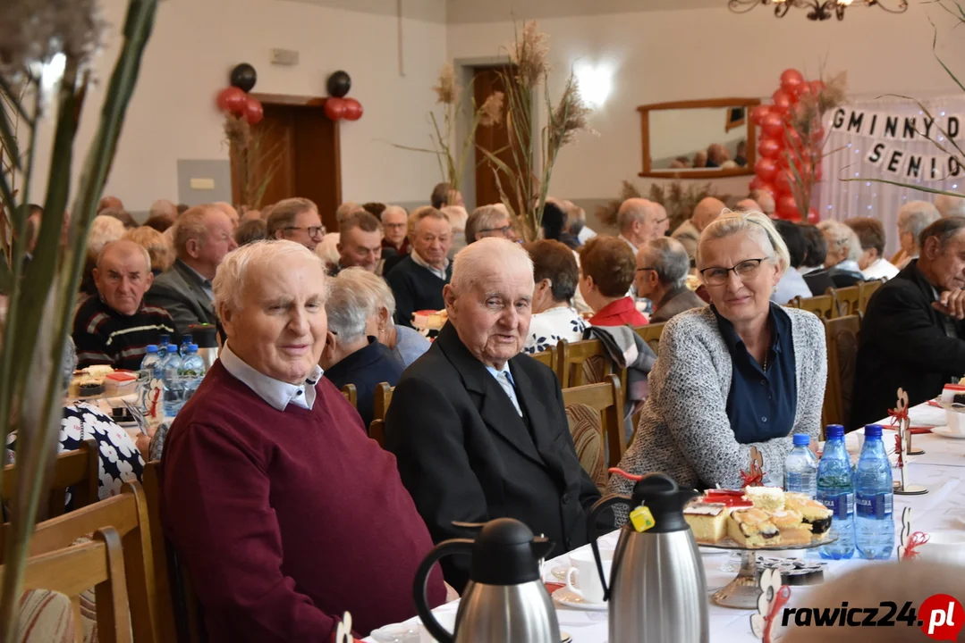 Gminny Dzień Seniora w Chojnie - świętowano po raz 10! - Zdjęcie główne