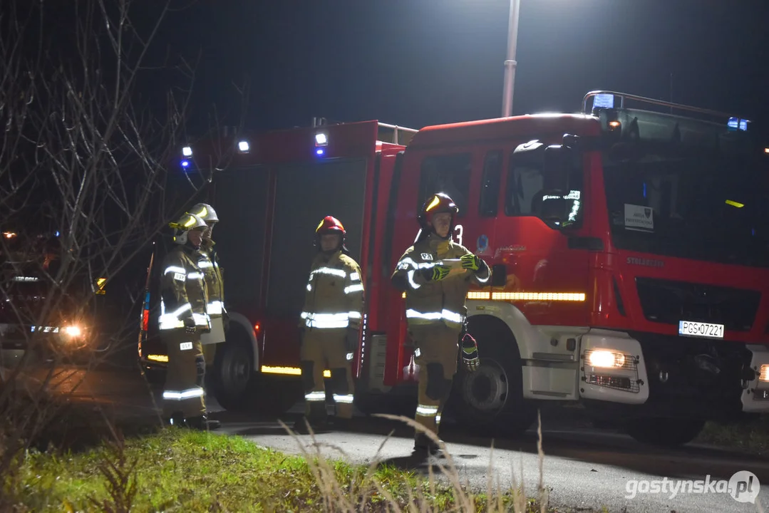 Czołówka z drzewem. Wypadek w Grodzisku (gm. Poniec)