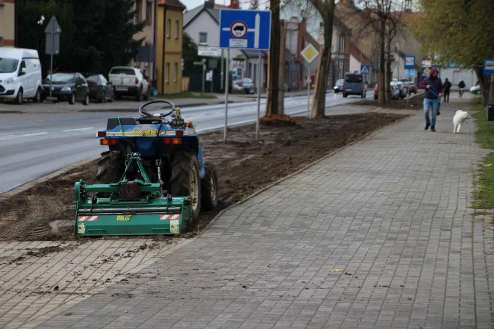 Nasadzenia na ul. św. Ducha w Jarocinie