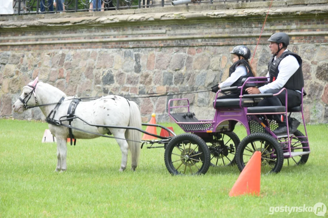 Rokosowo Horse Show 2024 - dzień pierwszy