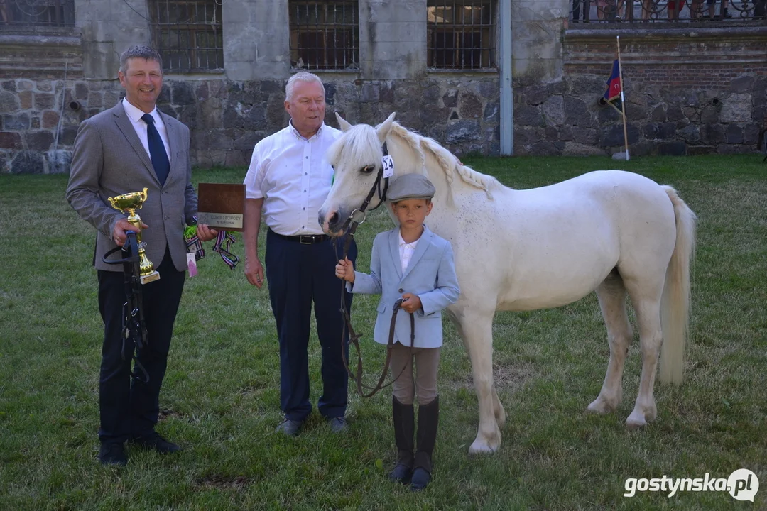 Rokosowo Horse Show 20224 - Konie i Powozy na Zamku Wielkopolskim w Rokosowie