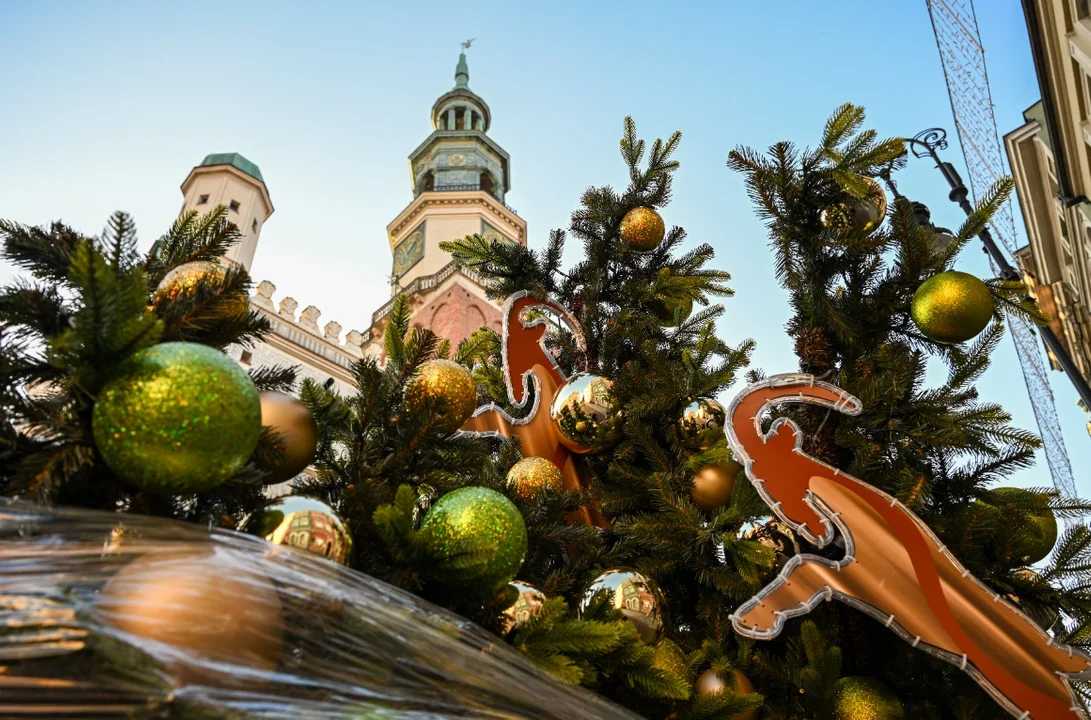 Trwa montaż choinki i świątecznych iluminacji