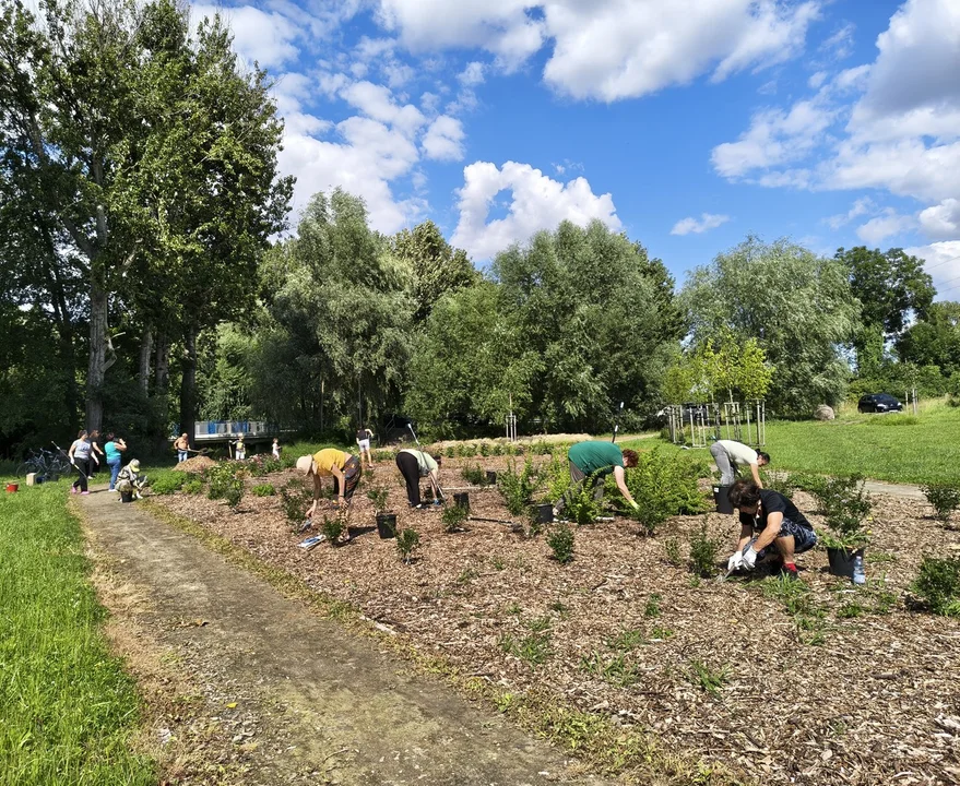 "Zielony Wolontariat" znów w akcji! Dzięki nim Park Doliny Orli pięknieje