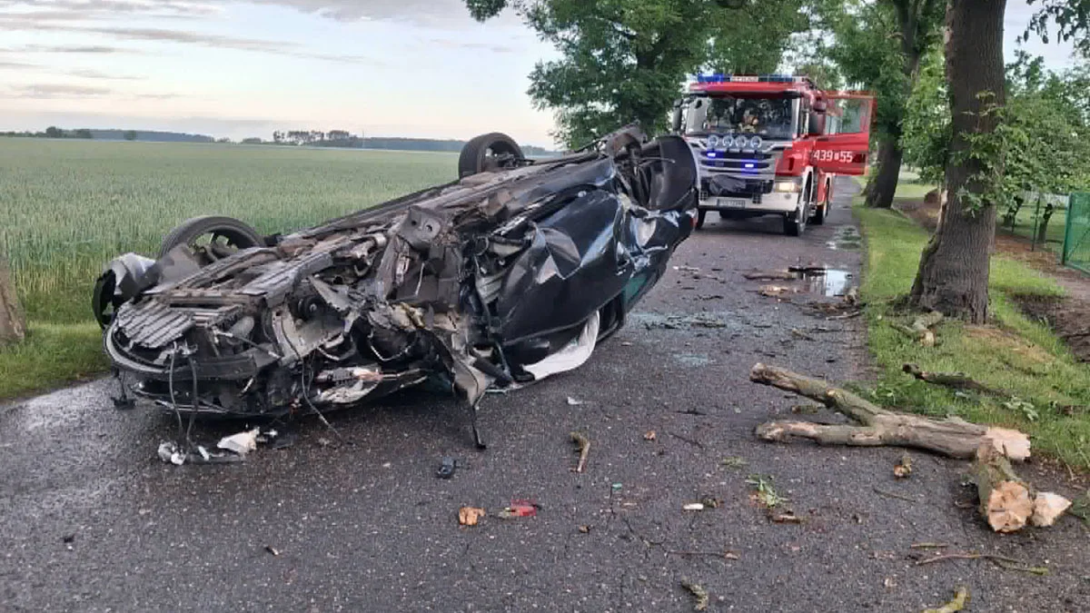 Groźny wypadek w gminie Borek Wlkp. - młody kierowca uderzył w  drzewo