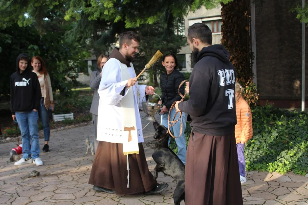 U franciszkanów w Jarocinie z okazji odpustu błogosławiono zwierzęta