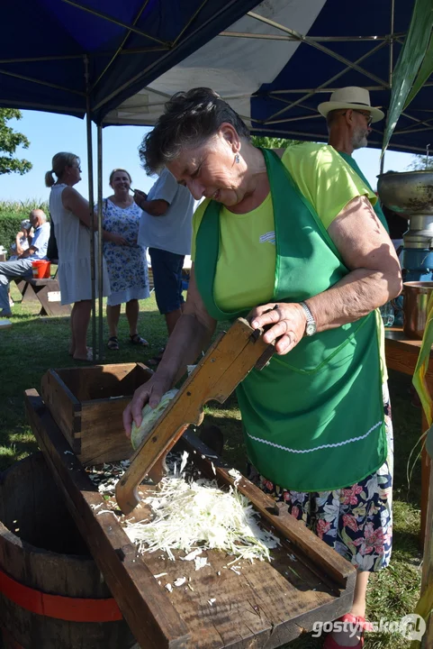 XI Festiwal Tradycji i Folkloru w Domachowie - wesele buskupiańskie i podpisanie umowy partnerskiej