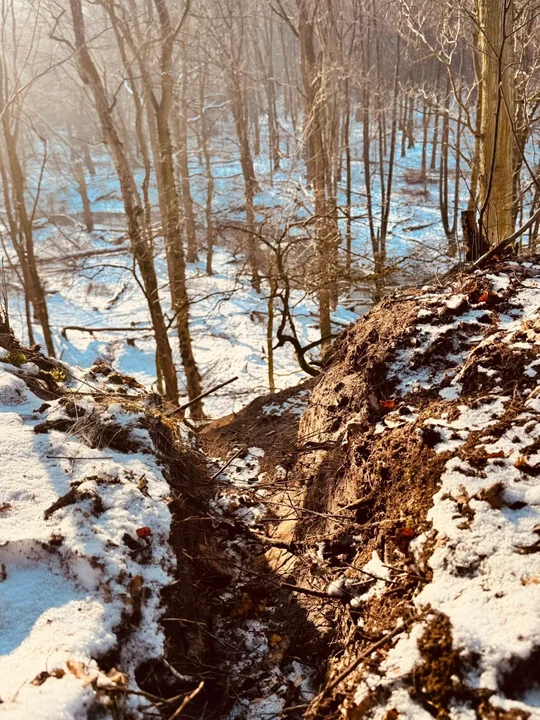 Miał być Rezerwat Lutyni, jest pobojowisko po crossowcach