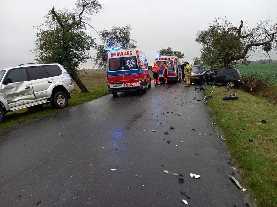 Wypadek drogowy na trasie Pępowo-Pogorzela