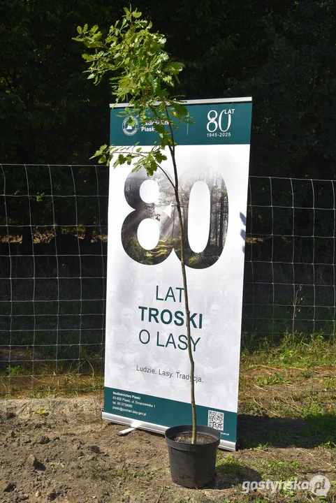 W Nadleśnictwie Piaski powstaje "Las dobry wspomnień"