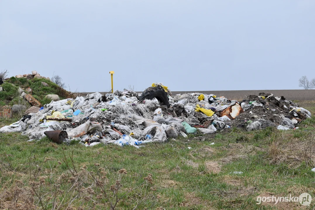 Ogromna hałda śmieci na polu w Żytowiecku