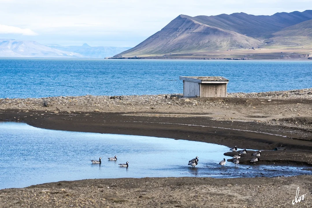 Wyprawa pleszewian na Spitsbergen