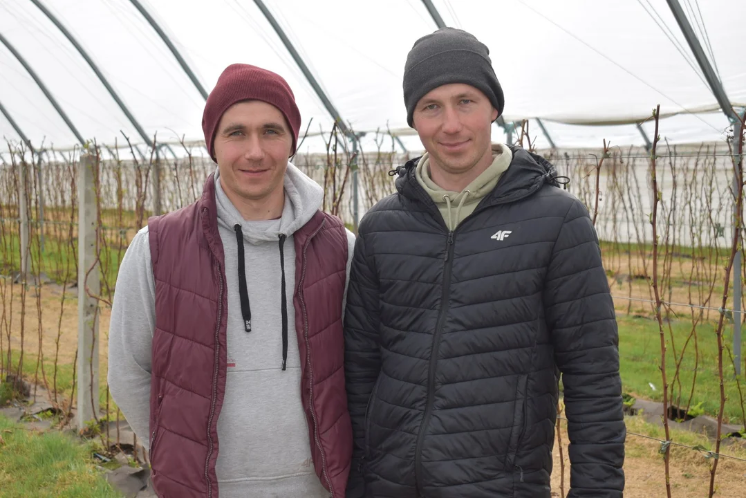 Zaczynali od zera, dziś zbierają owoce sukcesu, malinowego sukcesu!