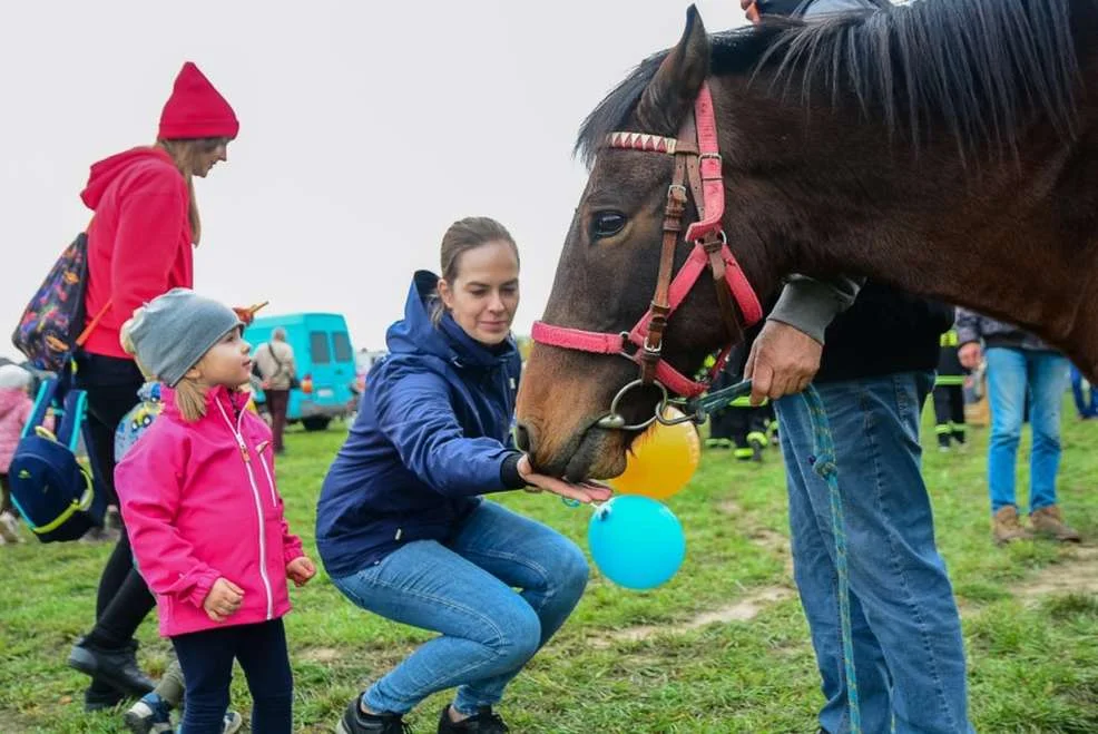 Hubertus i Jarociński Festiwal Kultury Łowieckiej 2022