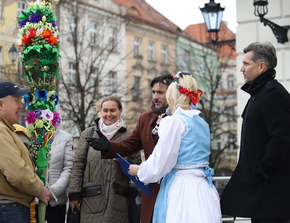 Najdłuższe palmy miały ponad 3 metry