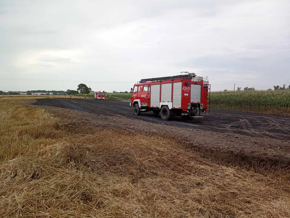 Pożary w czasie żniw w powiecie gostyńskim