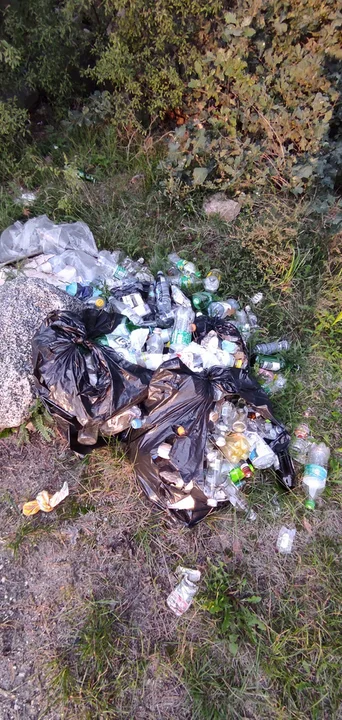 Dzikie wysypiska śmieci dookoła Gostynia