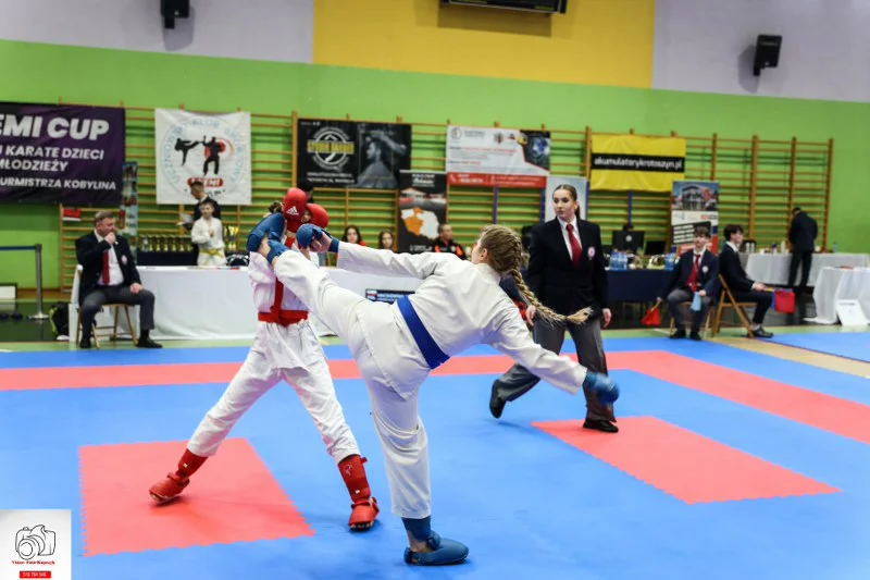 Kobylin. Turniej Karate o Puchar Burmistrza