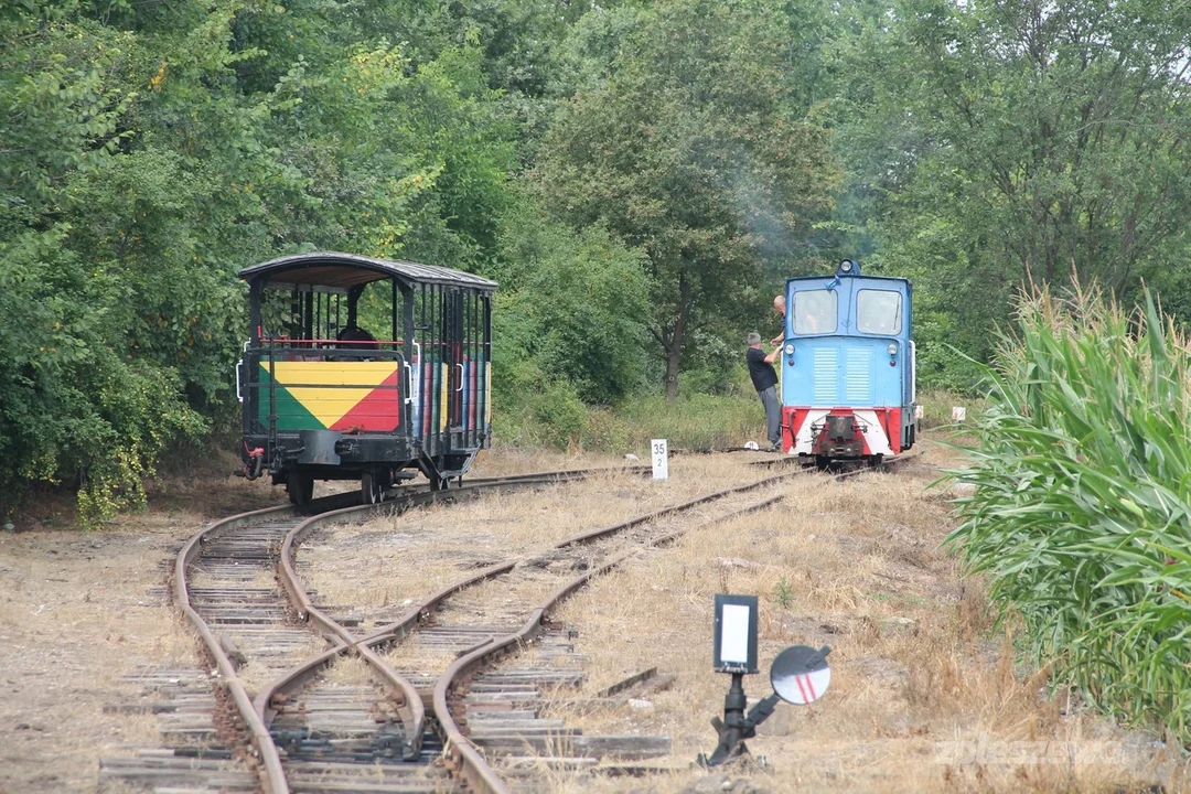 Wybierz się na rajd trasą kolejki wąskotorowej! - Zdjęcie główne