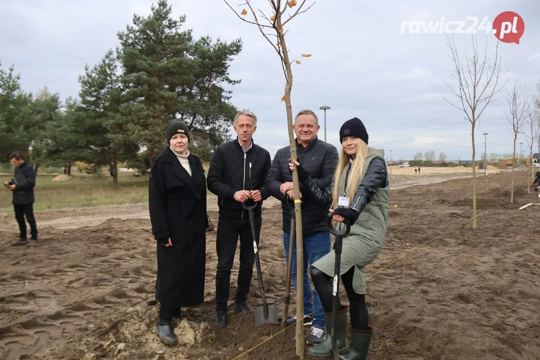 Nowe nasadzenia na poligonie