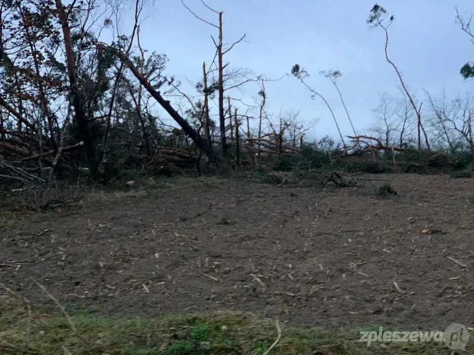 W powiecie pleszewskim możliwe są ulewy oraz silny wiatr