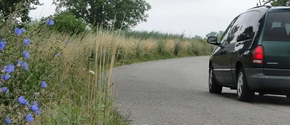 Zarośnięte pobocza dróg stwarzają realne niebezpieczeństwo. Kiedy zostaną wykoszone? [ZDJĘCIA, SONDA] - Zdjęcie główne