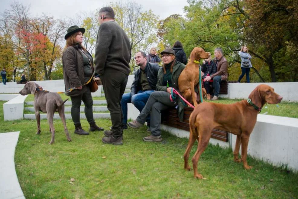 Zmiana organizacji ruch w Jarocinie