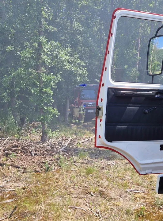 Pożar lasu na granicy powiatu gostyńskiego