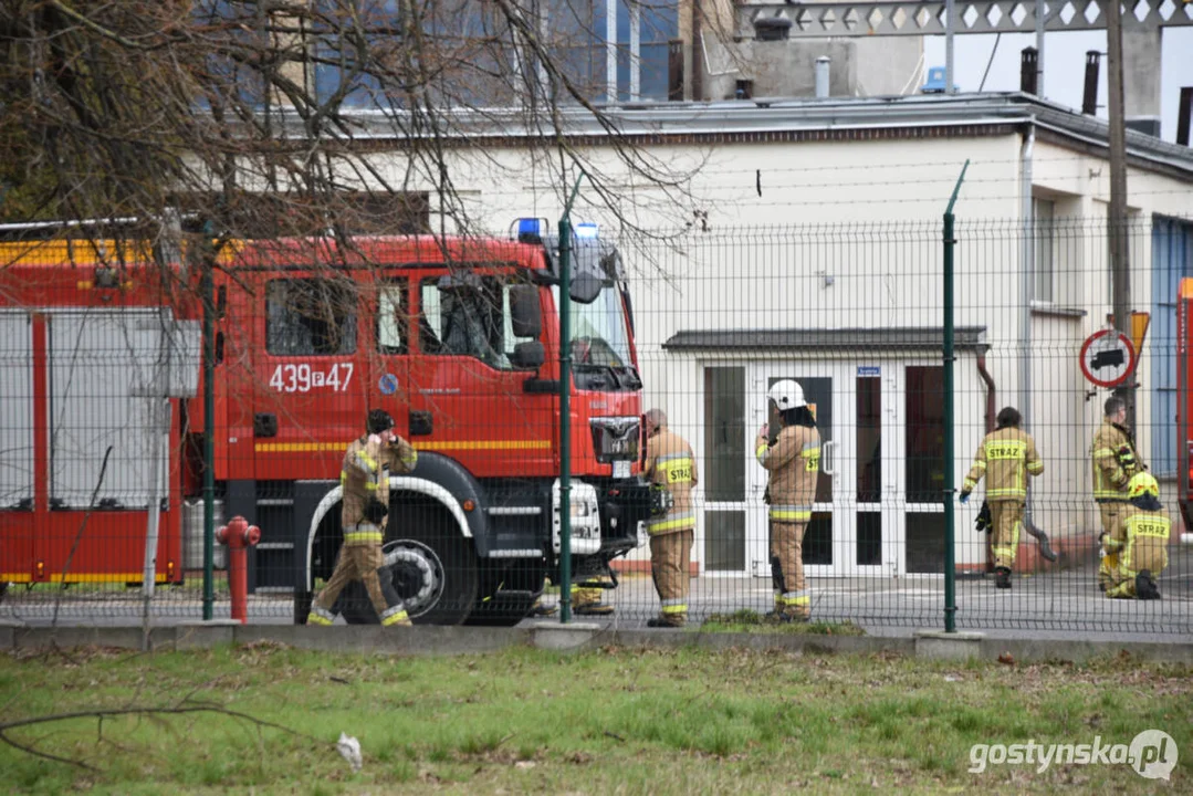 Ćwiczenia zastępów JRG oraz strażaków ochotników w zakładzie przetwórstwa spożywczego Pudliszkach